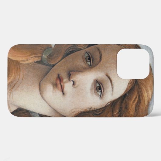 Geboorteplaats Venus Case-Mate iPhone Case (Achterkant (horizontaal))