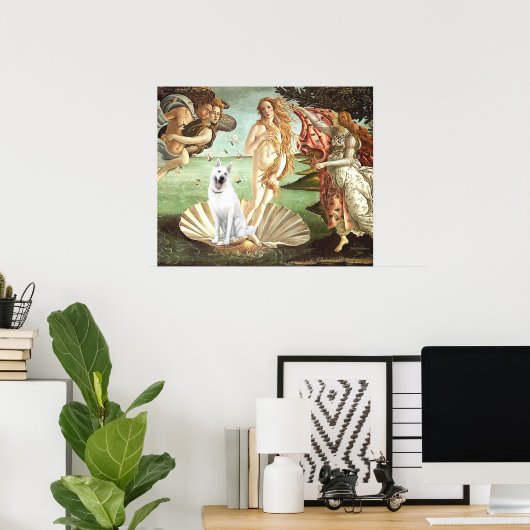 Geboorteplaats: Venus-White German Shepherd Poster (Thuiskantoor)