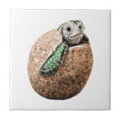 GEBOORTEPRIJS TEGELTJE (Voorkant)