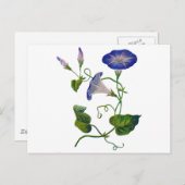 Geborduurde Blauwe Morning Glories Briefkaart (Voorkant / Achterkant)
