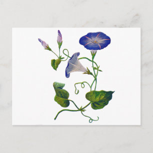 Geborduurde Blauwe Morning Glories Briefkaart