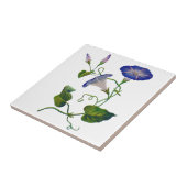Geborduurde Blauwe Morning Glories Tegeltje (Zijkant)