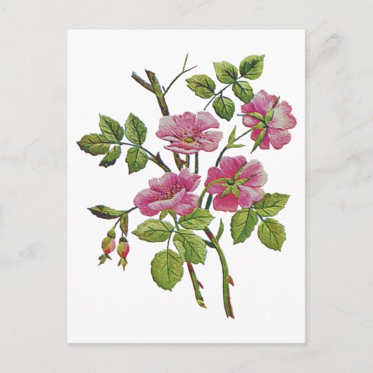 Geborduurde roze Oudengelse Rozen Briefkaart (Voorkant)