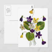 Geborduurde witte, gele en Paarse viooltjes Briefkaart (Voorkant / Achterkant)