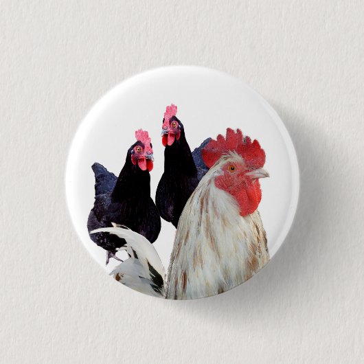 Geboren als kippen, Badge Ronde Button 3,2 Cm (Voorkant)