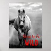 Geboren als Wild Black en White Running Horse Poster (Voorkant)
