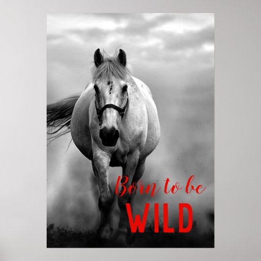 Geboren als Wild Black en White Running Horse Poster (Voorkant)