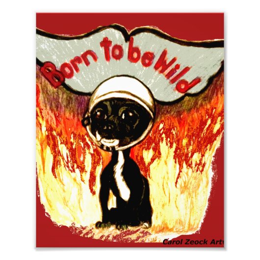 Geboren als Wild Chihuahua door Carol Zeock Foto Afdruk (Voorkant)