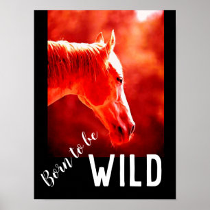Geboren als Wild Close Horse Poster