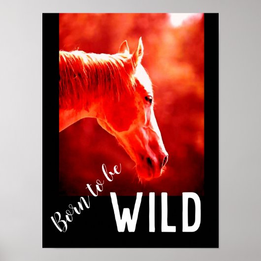 Geboren als Wild Close Horse Poster (Voorkant)