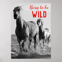 Geboren als Wilde Black en White Running Horses
