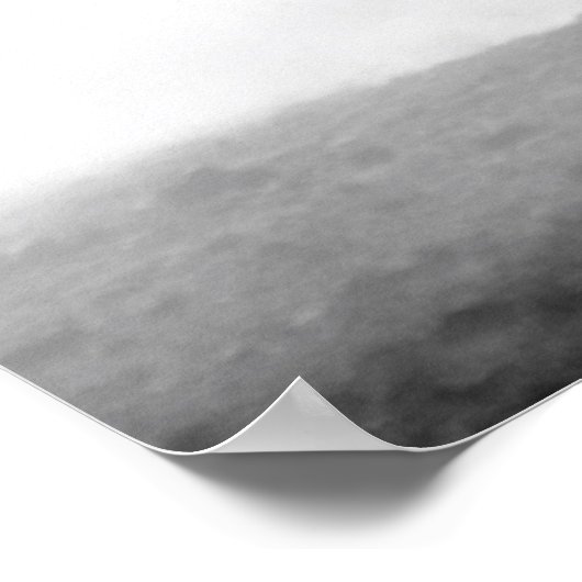 Geboren als Wilde Black en White Running Horses Poster (Hoek)