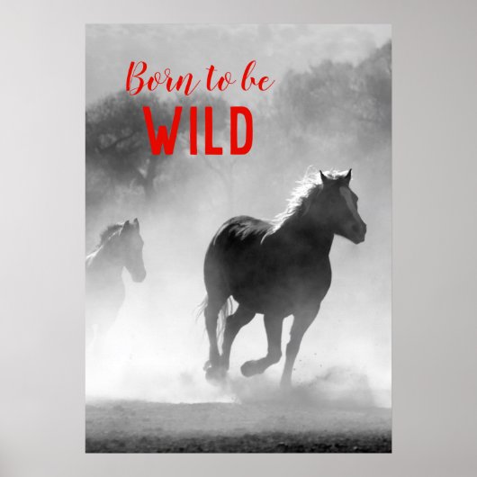 Geboren als Wilde Black en White Running Horses Poster (Voorkant)