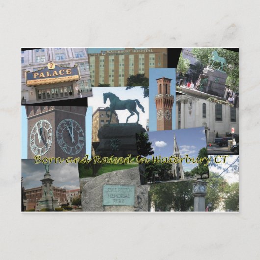 Geboren en getogen in Waterbury CT Briefkaart (Voorkant)