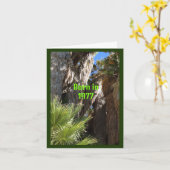 Geboren in 1977, Birthday Fun Facts Kaart (Gele Bloem)