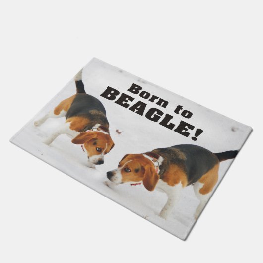 Geboren in Beagle Deurmat (Schuin)