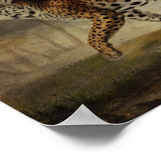 Geboren in de Roos Poster (Hoek)