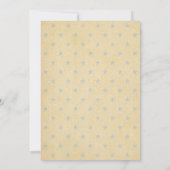 Geboren in de VS Baby Shower Uitnodiging (Achterkant)