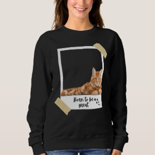 Geboren in deze geweldige Oranje Maine Coon Cat an Trui