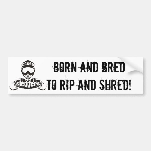 "Geboren in en gekaard tot rip en Shred"-sledders. Bumpersticker (Voorkant)