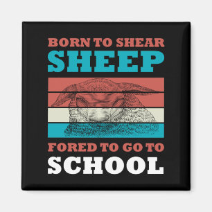 Geboren in Shear Sheep die naar de schoolgeit moet Magneet