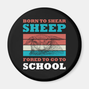 Geboren in Shear Sheep die naar de schoolgeit moet Magneet