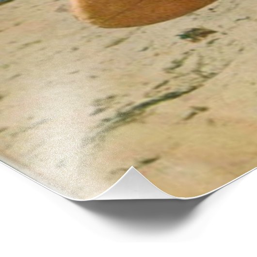 Geboren in Surf | Schattige  surfen Foto Afdruk (Hoek)