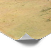 Geboren in Surf | Schattige  Surfen Poster (Hoek)