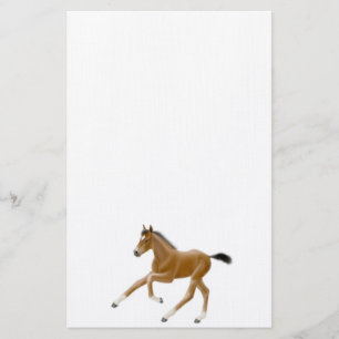 Geboren in Thoroughbred Foal Stationery Briefpapier