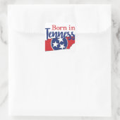 Geboren in Toennessee State Symbols Volunteer Stat Vierkante Sticker (Tas)