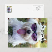 Geboren in Wilde Briefkaart (Voorkant / Achterkant)