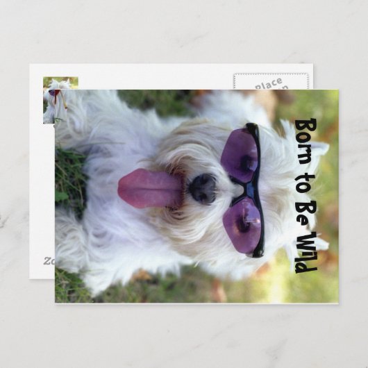 Geboren in Wilde Briefkaart (Voorkant / Achterkant)