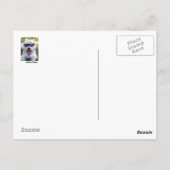 Geboren in Wilde Briefkaart (Achterkant)