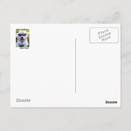 Geboren in Wilde Briefkaart (Achterkant)