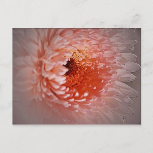 Geboren naar geslaagd briefkaart (Voorkant)