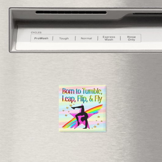 GEBOREN OM GYMNASTIEKMAGNEET TE TUIMELEN MAGNEET (Insitu (Vaatwasser))