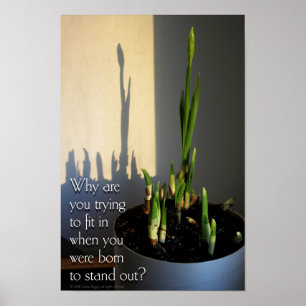 Geboren om Poster uit te staan