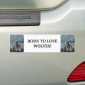 GEBOREN OM VAN WOLVEN TE HOUDEN, WOLF ANIMAL QUOTE BUMPERSTICKER (Op auto)