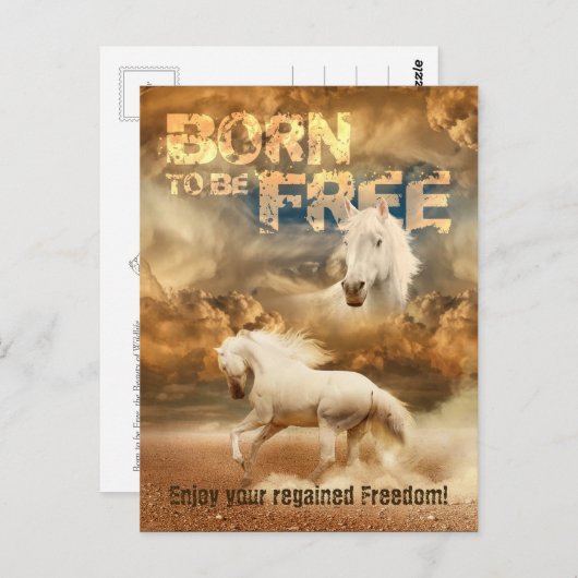 Geboren om vrij te zijn, schoonheid van het wild:  briefkaart (Voorkant / Achterkant)