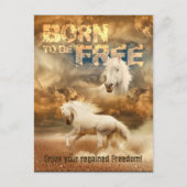 Geboren om vrij te zijn, schoonheid van het wild:  briefkaart (Voorkant)