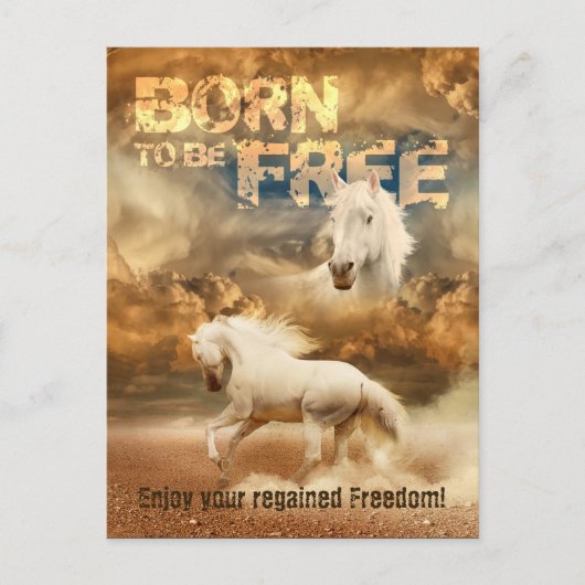 Geboren om vrij te zijn, schoonheid van het wild:  briefkaart (Voorkant)