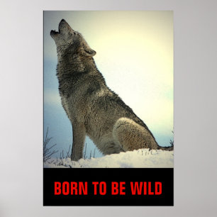 Geboren om Wild Motivatie Wolf Howling Moon te zij Poster