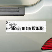 Geboren om WILD te zijn ! Bumpersticker (Op auto)
