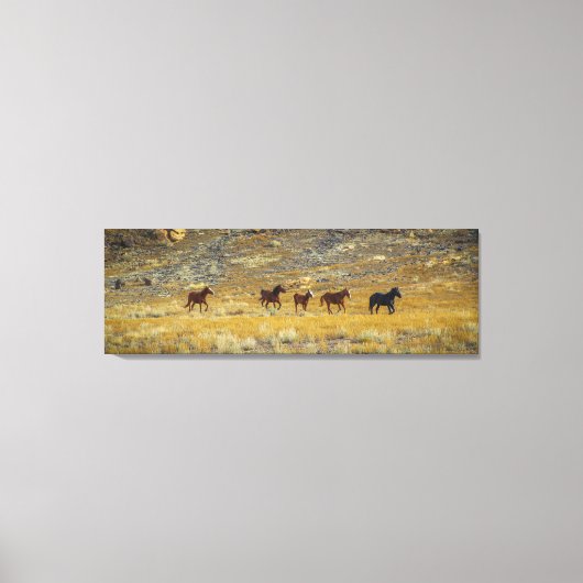 Geboren om Wild te zijn. Canvas Afdruk (Voorkant)