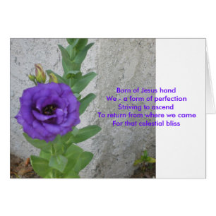 Geboren op Jezus Kaart