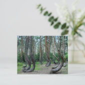 Gebost bos - Polen Briefkaart (Staand voorkant)