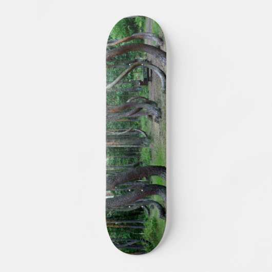 Gebost bos - Polen Persoonlijk Skateboard (Voorkant)