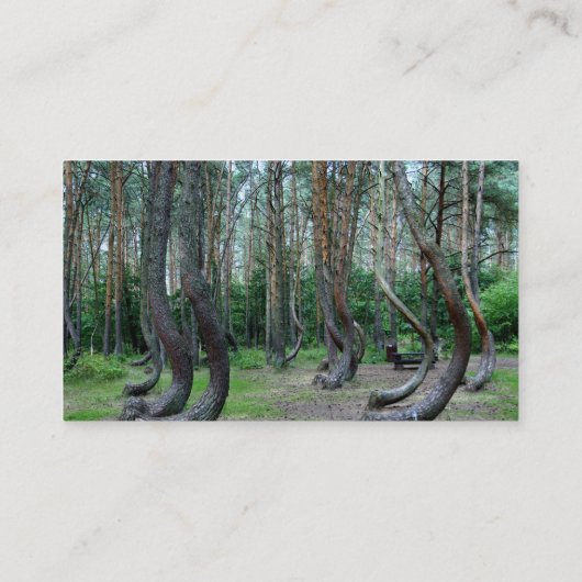 Gebost bos - Polen Visitekaartje (Achterkant)