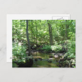 Geboste Creek Briefkaart (Voorkant / Achterkant)