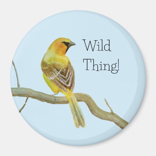 Geboste Oriole Magneet (Voorkant)